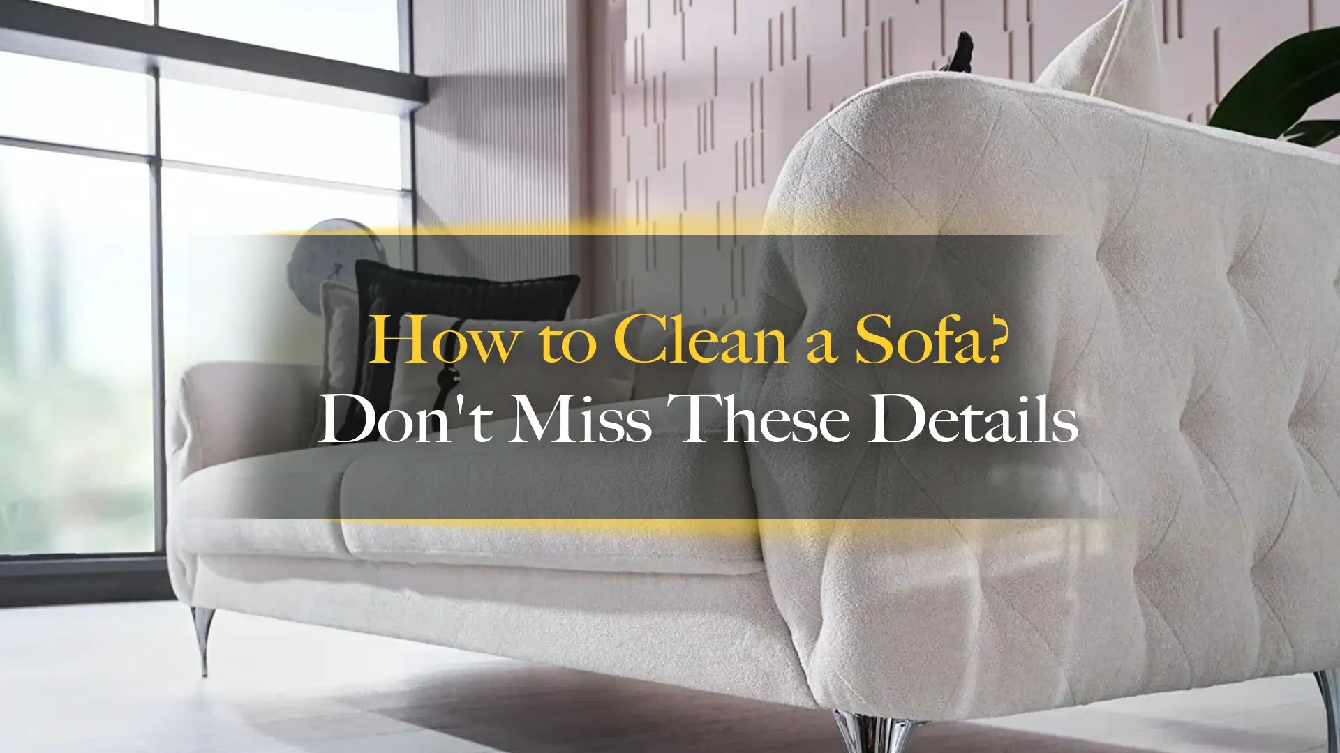 How to Clean a Sofa? Don't Miss These Details