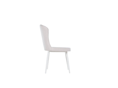 Arena Chair (6265) - istikbaluk