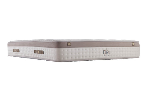 Life Dreams Vizon Mattress