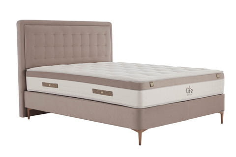 Life Dreams Vizon Mattress