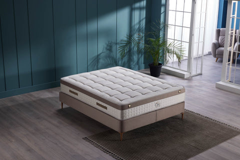 Life Dreams Vizon Mattress