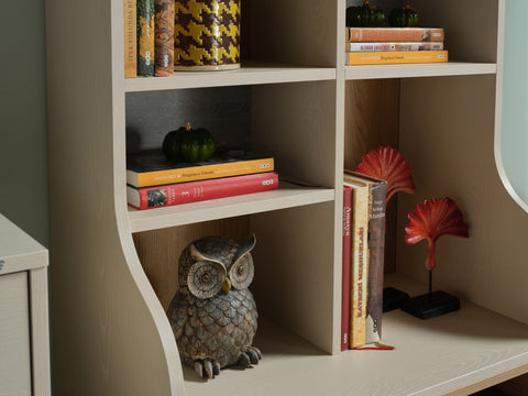 Linus Bookshelf