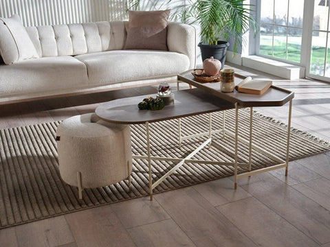 Mitra Coffee Table Set