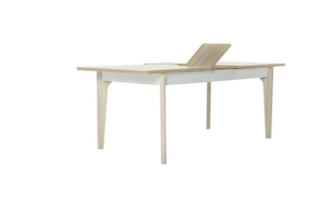 Retro Dining Table (Fixed) + Retro Chair (6254)