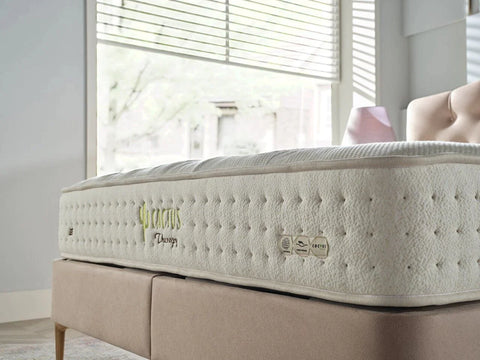 Cactus Therapy Mattress