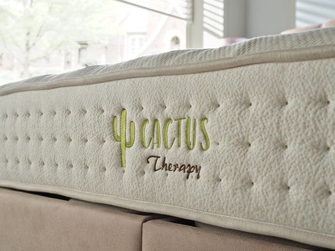Cactus Therapy Mattress